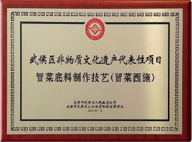 武侯區(qū)非物質(zhì)文化遺產(chǎn)代表性項目