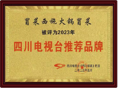 四川電視臺推薦品牌